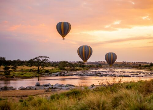 WST. 004 Tarangire National Park (2days/1night)