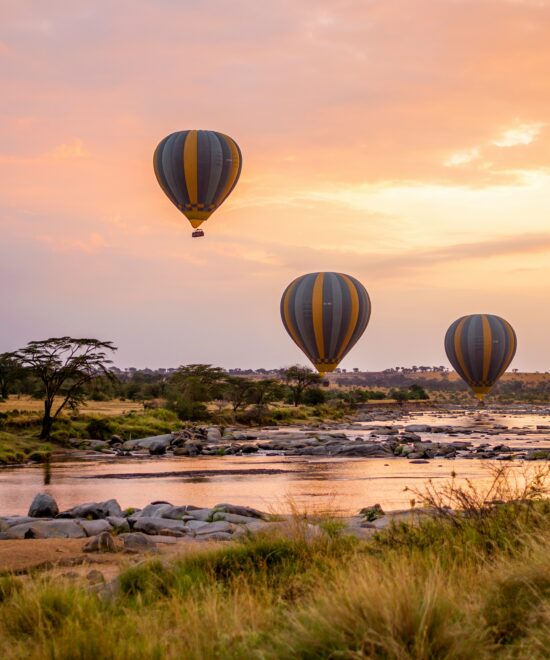 WST. 004 Tarangire National Park (2days/1night)