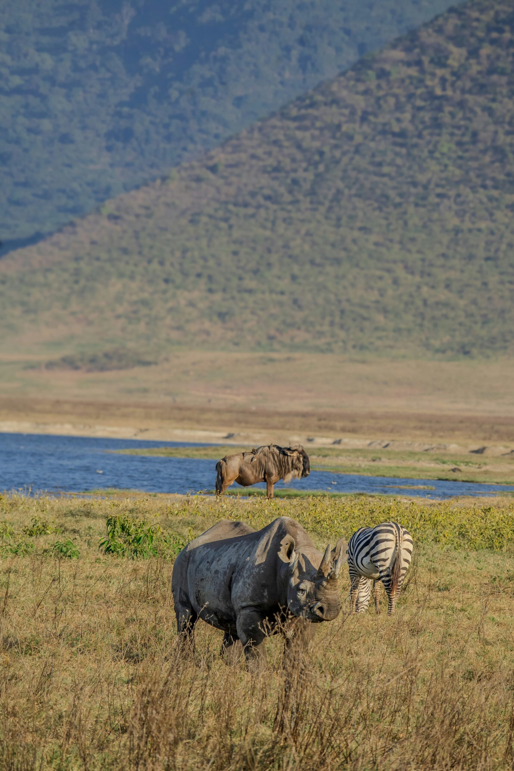 Ngorongoro Conservation